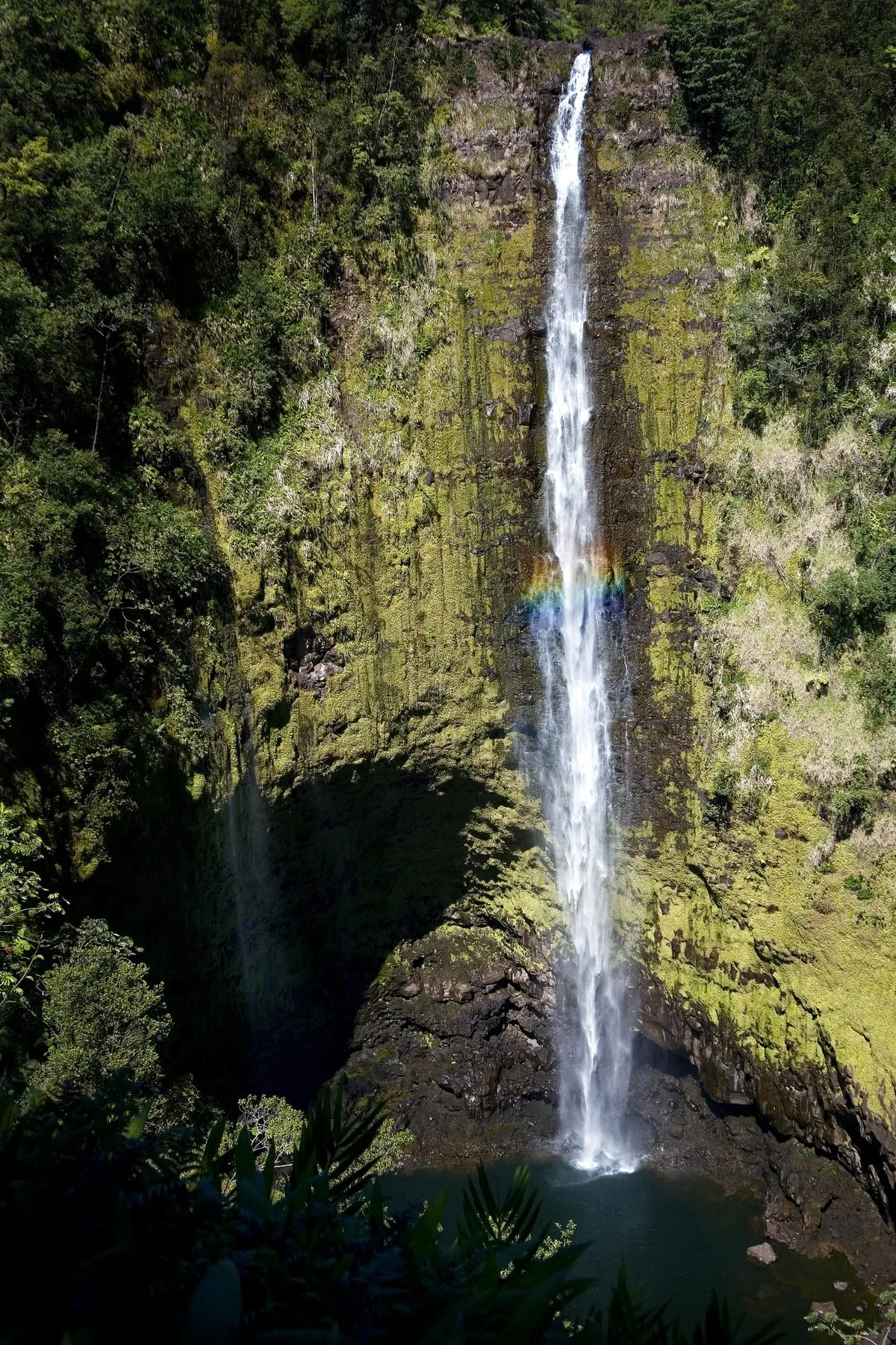 Akaka Falls with rainbow
