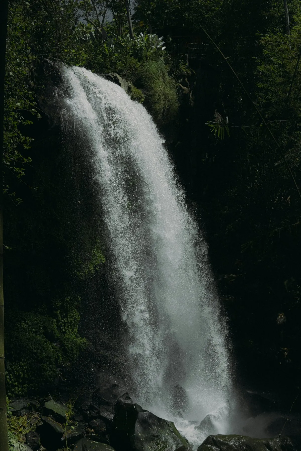Hidden Swimming Holes Near Hilo