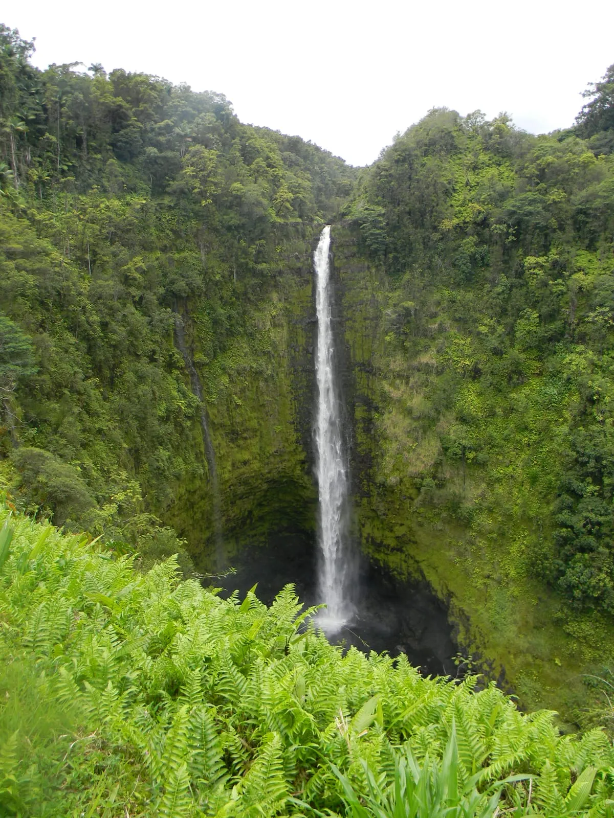 Waterfall Adventures