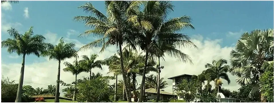 Ocean view from Island Goodes