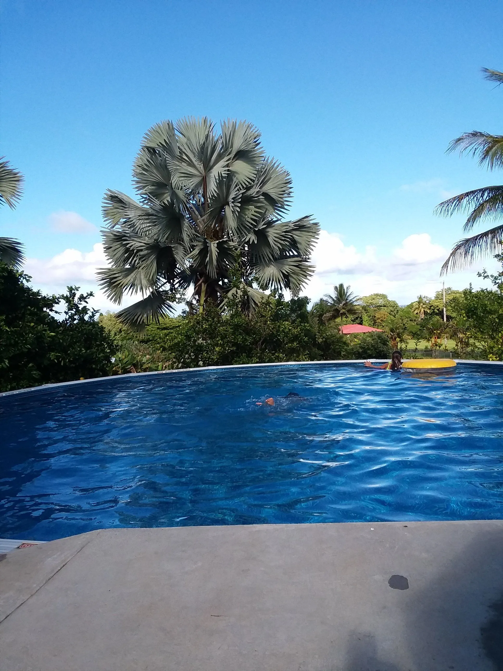 Tropical swimming pool surrounded by palm trees at Island Goodes
